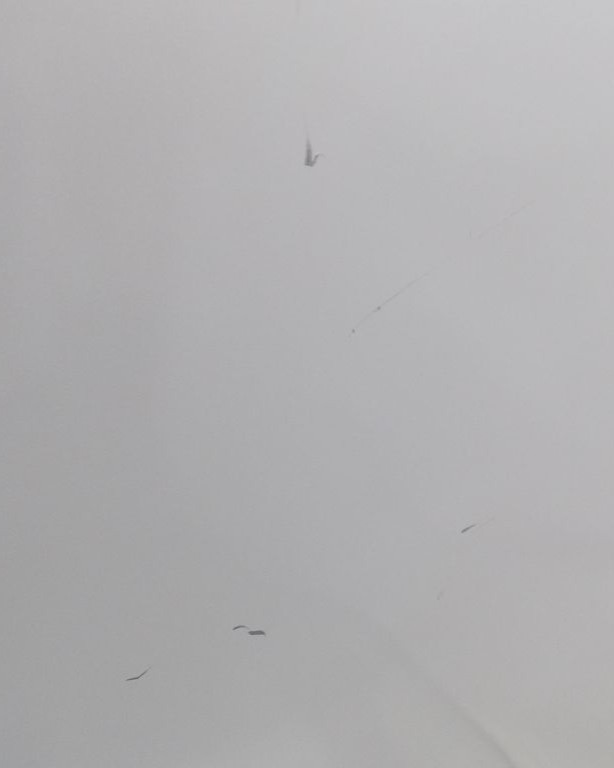 Фризер Siemens GS51NAWCV iQ500