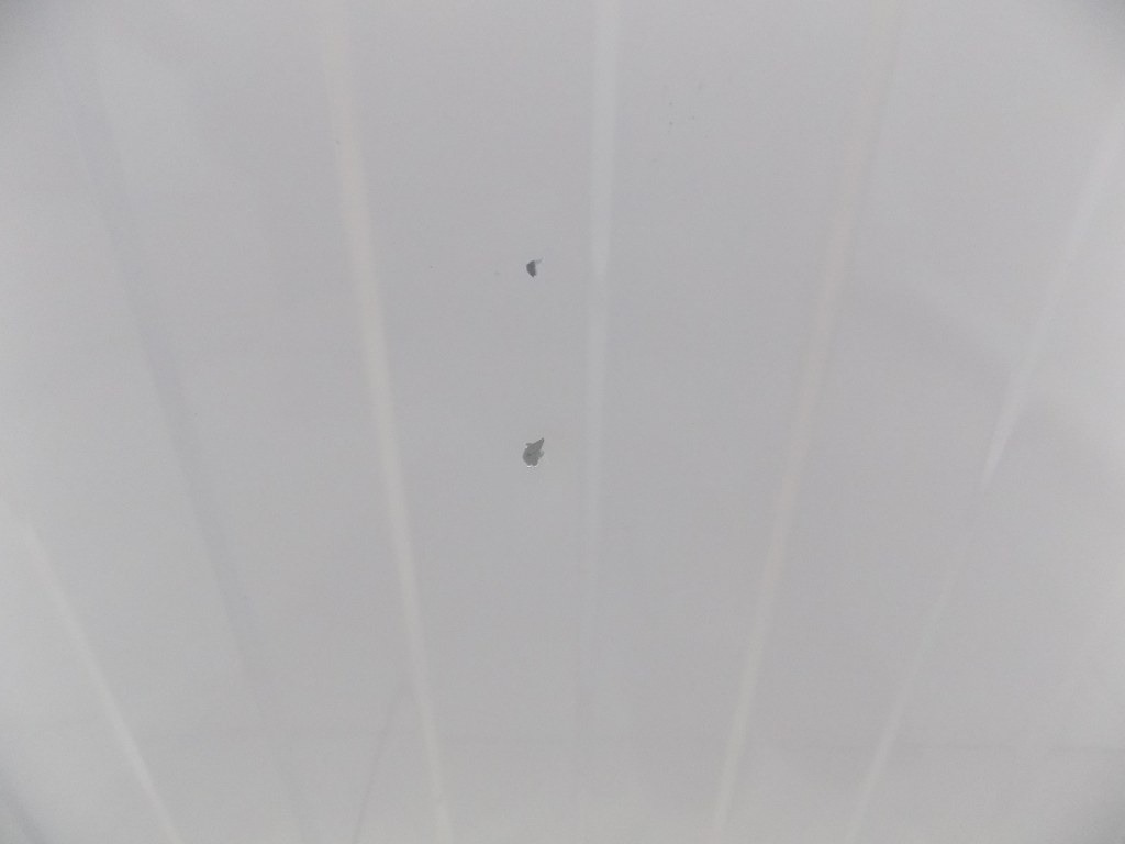 Пералня LG F4WR4911P